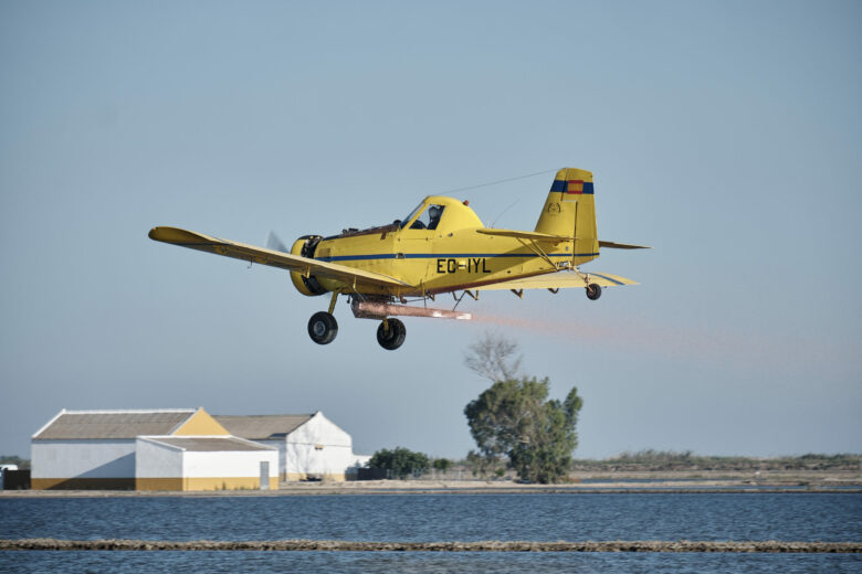 Avião monomotor: uma janela para a aviação de pequenas aeronaves